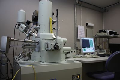 電界放射型走査電子顕微鏡