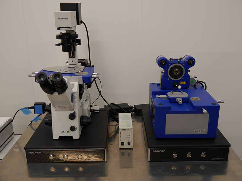 走査型プローブ顕微鏡システム