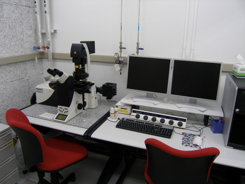 共焦点レーザー走査型蛍光顕微鏡