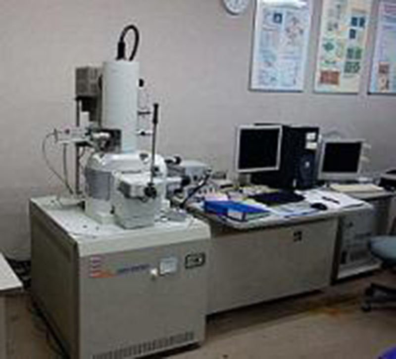 電界放出形走査電子顕微鏡（FE-SEM）(電子ビーム描画機能付属）